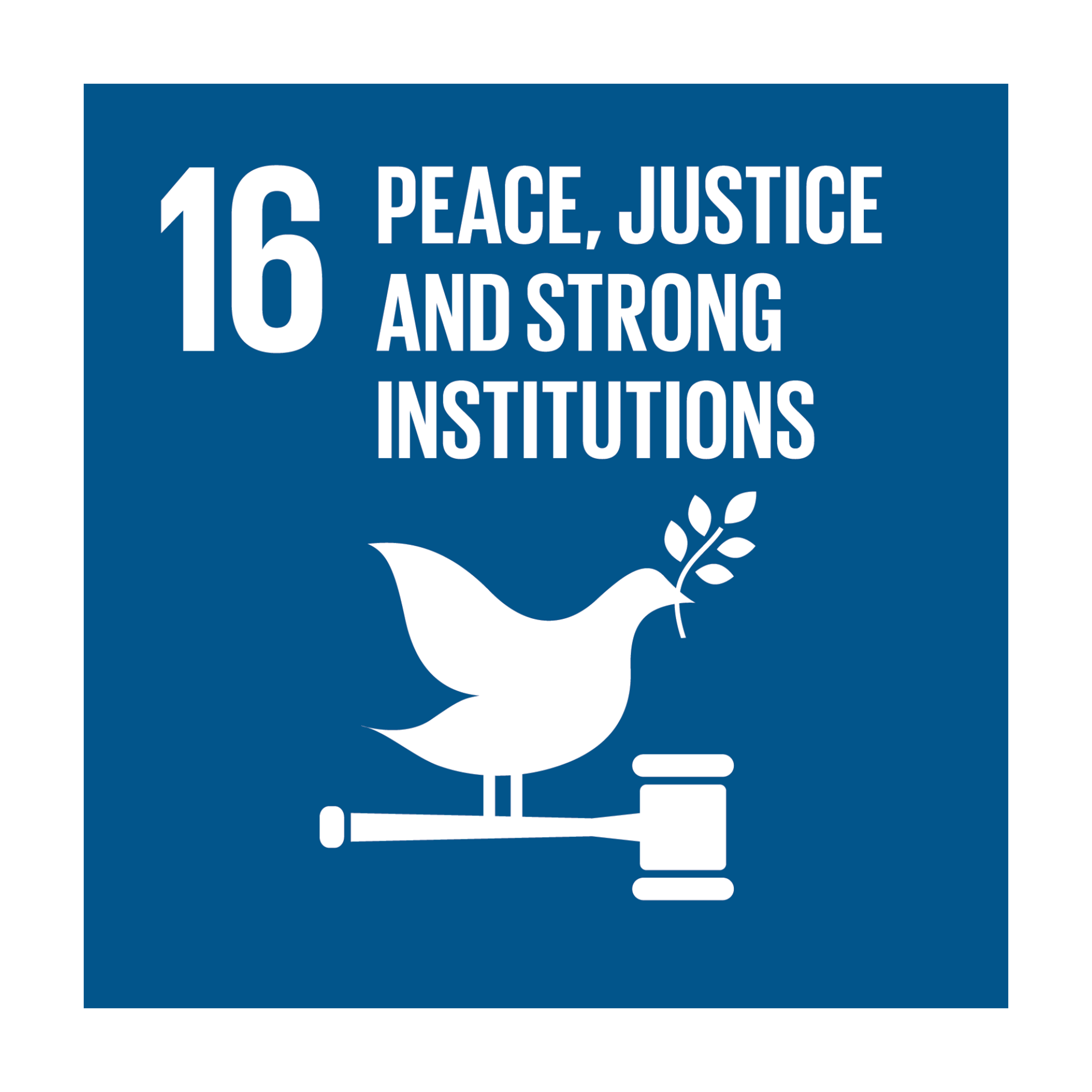 SDG 16